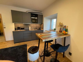 Apartment NAVI- Modern studio in Krkonoše foothills, Staré Buky